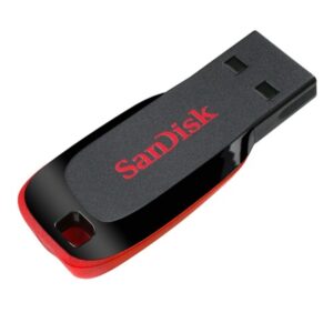 Sandisk USB Flash Drive