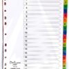 Divider MANILA 1-20 Part color