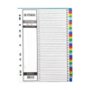 DIVIDER MODEST 1-31 MULTICOLOUR